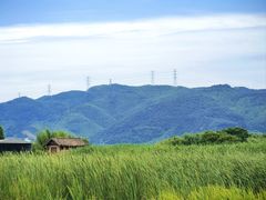 -良渚古城遗址公园