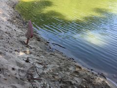 -佛山祈福仙湖酒店