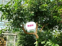 -国家植物园南园