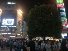 -涩谷区