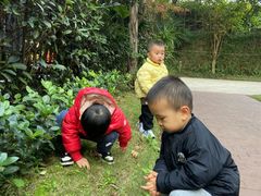 -吉的堡幼儿园(复地花屿城分园)