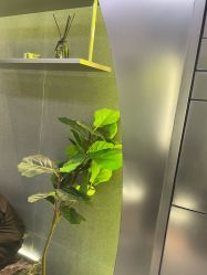 -不迫先生专业男士剪发