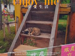 -云南民族村