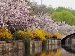 -海棠花溪(元大都城垣遗址公园)