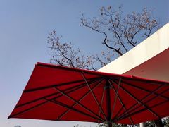 -上海山野camping·户外天幕烧烤·团建拓展营地