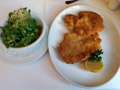 维也纳炸猪排-Plachuttas Gasthaus zur Oper