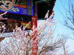 -白水寺森林公园