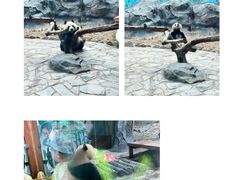 -乐和乐都主题乐园