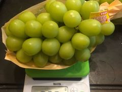 -油麻地果栏