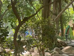 -成都市活水公园