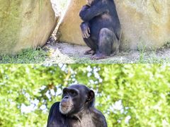 -上海野生动物园