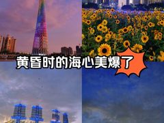 -海心沙亚运公园