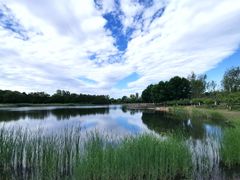 -永定河休闲森林公园