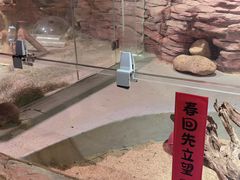 -正佳雨林生态植物园