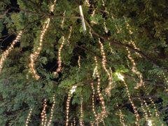 -长江路历史文化街区