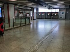 -桃浦新村(地铁站)