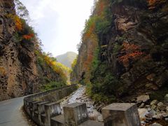 -秦岭风景区