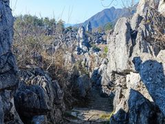 -千岛湖石林