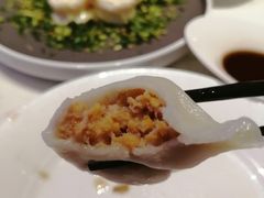 -喜鼎海胆水饺(柏威年购物中心店)