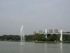 景点-东莞植物园