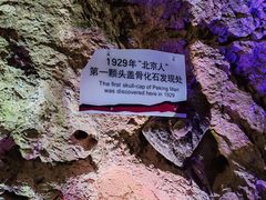 -北京周口店北京人遗址博物馆