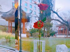 -九献创意菜·牛排料理(亮马河花园店)