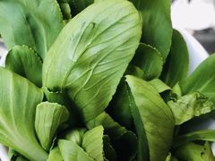 菠菜-川香煲(茅台路店)