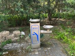 -大兴滨河森林公园