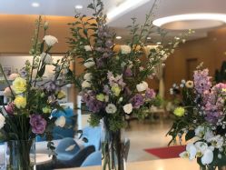 -杭州贝瑞斯美华妇儿医院·早孕·产检·儿科