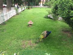 -西昌邛海宾馆