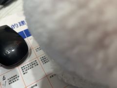 -海门爱心宠物医院
