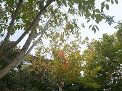 -南京航空航天大学(明故宫校区)