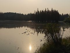 -白鹭湾湿地公园