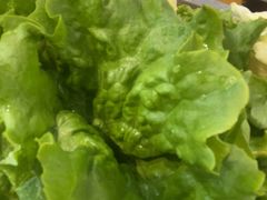 -郭记烤肉创始店(民丰大街店)
