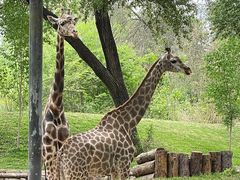 -北京野生动物园