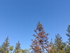 -燕江楼(燕东店)