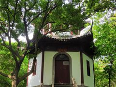 -上海佘山国家森林公园天马山园