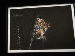 -罗红摄影艺术馆