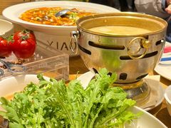 -小大董·烤鸭(五棵松店)