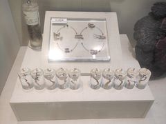 -广东中医药博物馆