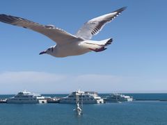 -青海湖二郎剑景区