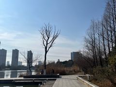 -九里河湿地公园