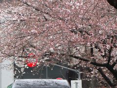 -南浦大桥长途旅游客运站