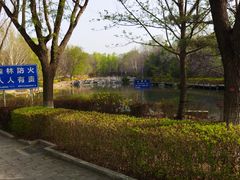 -云岗森林公园