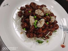 鱼头泡饼-食味楼(枫林湾店)