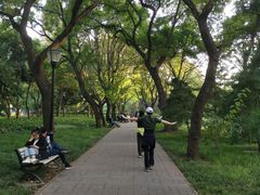 -玲珑塔公园