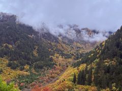 -九寨沟-树正沟