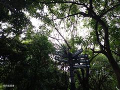 -燕晗山郊野公园