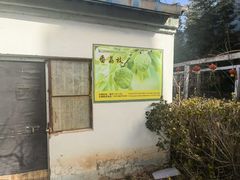 -呀路古热带植物园