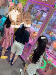 -玩元素·家庭游乐成长中心(香格里拉店)